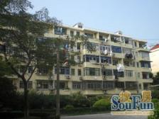 金杨·金杨十街坊·1室·1厅