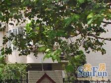 近地铁,电梯房精装,中间楼层,新上房源