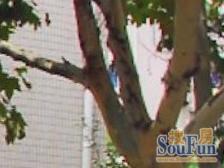 近地铁,中间楼层,电梯房 刚需上车 新上房源