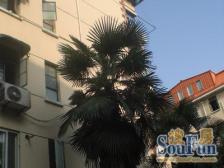 房东置换新房诚意出售 中间楼层 采光好 随时看房