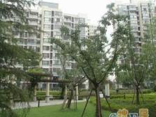 看房方便,采光佳,原始户型,业主诚心卖!