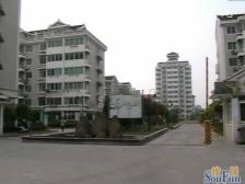 杨泰苑,精装修三房,交通便利出行方便