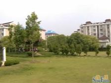 杨行·杨泰苑·2室·2厅