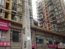 书香世家 1室0厅 东南