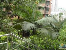 临地铁站 住家2房 户型好 采光好 出行方便 配套完善