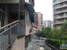 业主诚心出售。户型方正,采光好视野宽阔