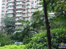 杨公桥 鑫泰花园二房47万