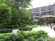 凤天路 升伟新时空(二期)一房45.9万