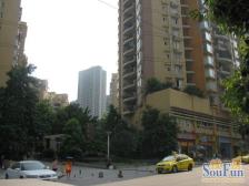 凤天路园林式小区,小高层顶跃,出行方便