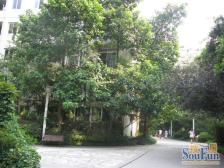 凤天路 天骄年华三房175万