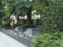 冉家坝 金科蚂蚁SOHO一房43万