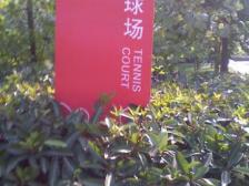 龙湖蓝湖时光 4室1厅 南 北