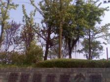 房源是小区大户型,朝向和视野好,看房方便