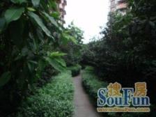 小区位置好,交通便利,购物方便,总价低,单价低