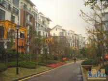 人和 金科天湖美镇三房157万