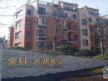 金科品质 视野好 出则繁华 入则宁静