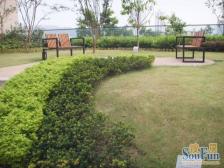 冉家坝 龙湖大城小院七房450万