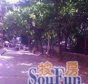 合建村 加装了电梯 全新装修 带露台