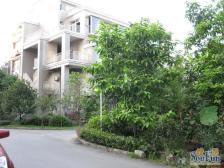 李家沱 江南水乡三房70万