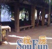 电建村 2室1厅 东