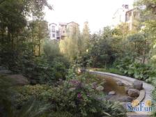 鸳鸯 龙湖弗莱明戈六房385万