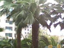 大华·电梯两房两厅,南北通透,近7号线D T 站