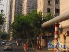 低总价小一房 全明户型 出小区就是蓬莱公园