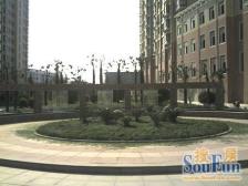 奉贤新城区域,南北,大2房,视野好,值