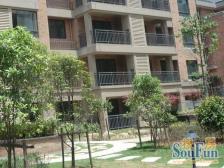 大面积,奉贤新城,顶楼带阁楼,诚信出售