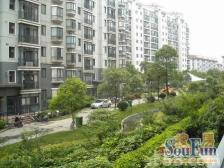 近地铁350米,标准一房,采光充足