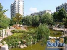 无抵押 家具全送,通风好,必看好房