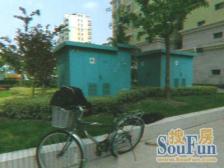 曹杨家园 3室2厅 南