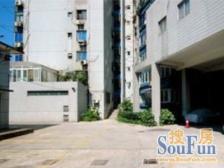 开开大楼 3室1厅 南