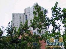 新普陀梅陇地铁电梯房,正气户型,开阔视野,品质精装