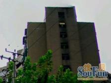 新上,电梯房,视野好,地铁近,边上有新普陀