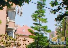 鑫都佳园2室2厅南北