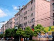 店长推荐,低总价小两房,小区中间全新装修从未入住!