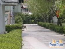 西渡地铁站+小区中间位置+全明户型+满五且一套+诚意卖