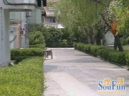 果园小区实景图