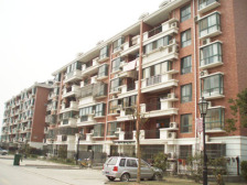 金唐公寓 2室1厅 东南