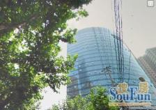 房东在上海,到价就签。中高楼层,全明大三房