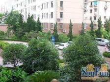 电梯房,环境优美,繁华地段,精装修