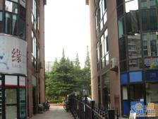 维多利亚(公寓) 5室2厅 东 南 西 北