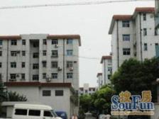 肖塘新村 3室1厅 南