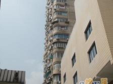 天马大厦 2室2厅 南