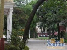 淮海中路·巨鹿路新里·1室·1厅