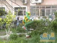 2000年商品房小区,全明一居室,朝南边套,诚意出售