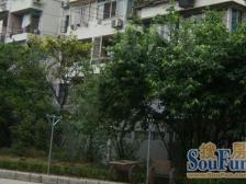 南北两房 厨卫全明 采光无何当 无嫌恶设施