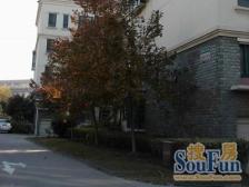 丝竹为伴的家 一楼送院子带装修中环旁14号-线中环百联有钥匙