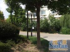 双拼别墅,一楼带老人房,送200平花园,中心位置